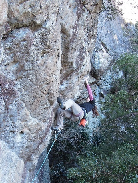 伊豆城山フリークライミング：白鳳会、樅の木山岳会 | 山梨県山岳連盟